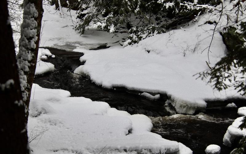 Headwaters in the Thurston Mills site