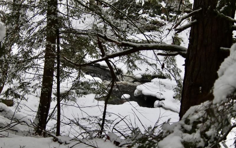 Headwaters in Thurston Mills