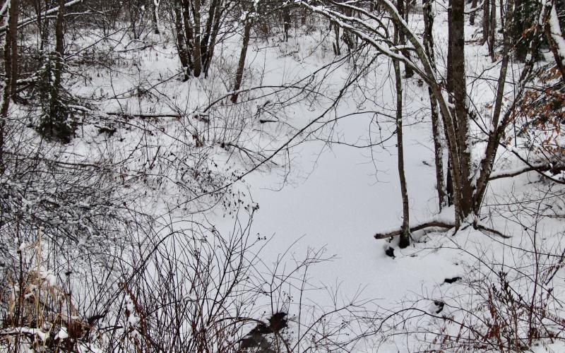 Headwaters of the Nonesuch in the Nonesuch Parcel