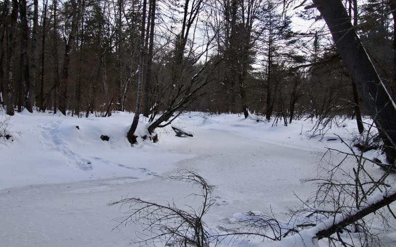 from Fuller Farm trails
