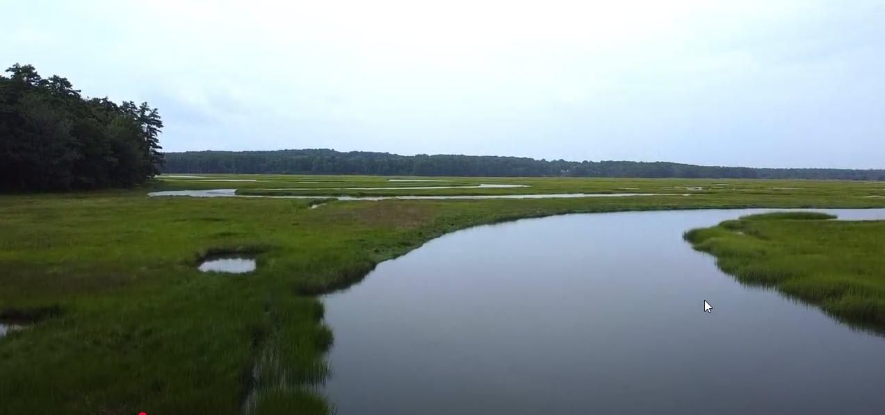 Image from video