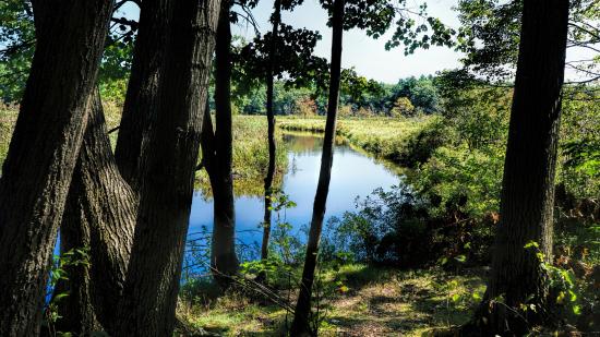 Eastern Trail - River Bend
