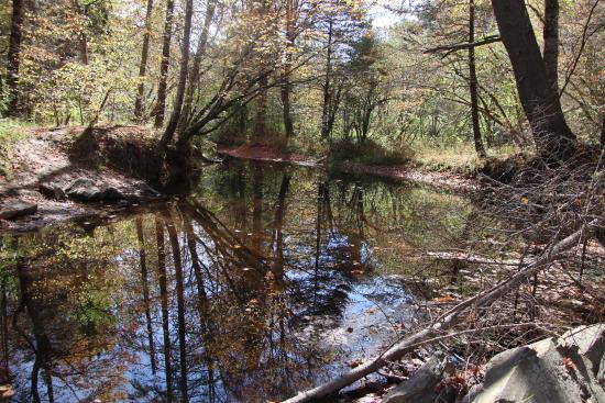 From the Fuller Farm trails.