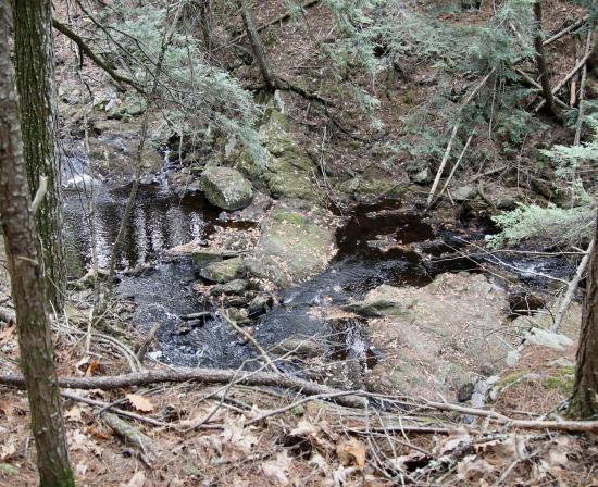 Nonesuch Headwaters