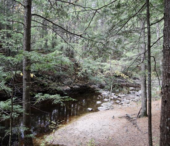Nonesuch Headwaters