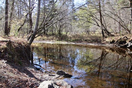 From the trails off Fengler Rd, opposite the view from the Fuller Farm trails.