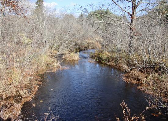 Nonesuch Headwaters