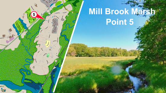 Mill Brook Marsh - Point 5
