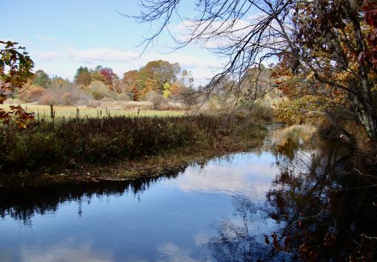 View of the Nonesuch from town open space