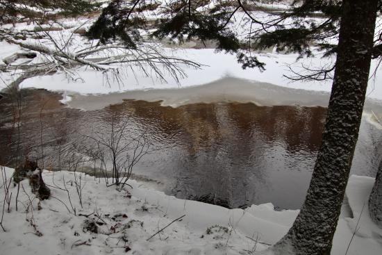 Warren Woods