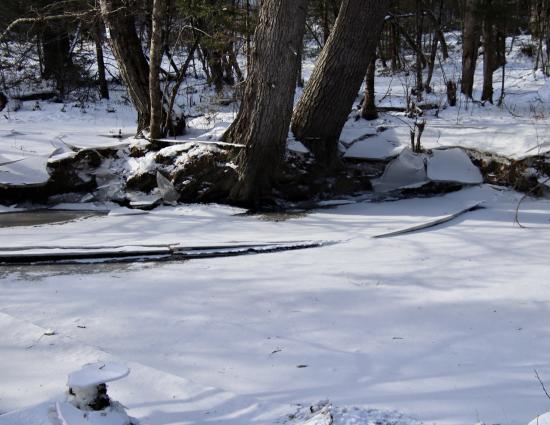 From trails near Fengler Road