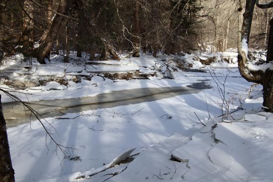 From trails near Fengler Road