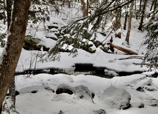 Headwaters in the Thurston Mills site.
