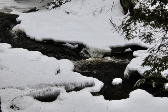 Headwaters in the Thurston Mills site