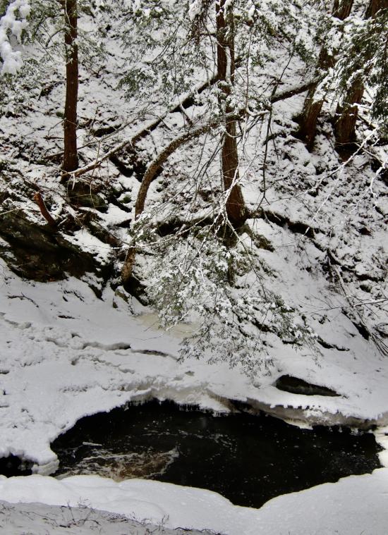 Headwaters in Thurston Mills